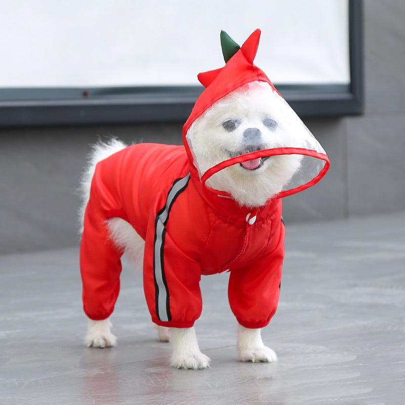 The Dragon-Themed Dog Raincoat