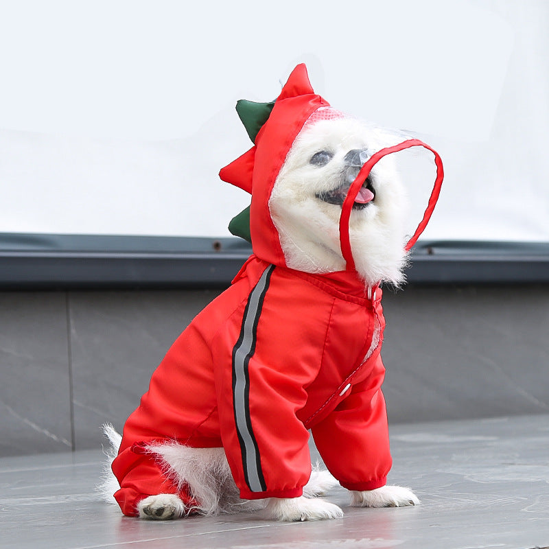 The Dragon-Themed Dog Raincoat