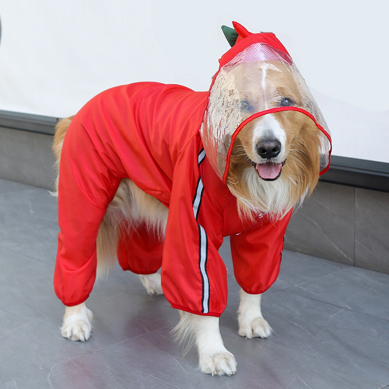 The Dragon-Themed Dog Raincoat