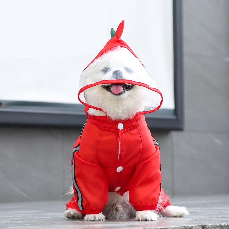 The Dragon-Themed Dog Raincoat