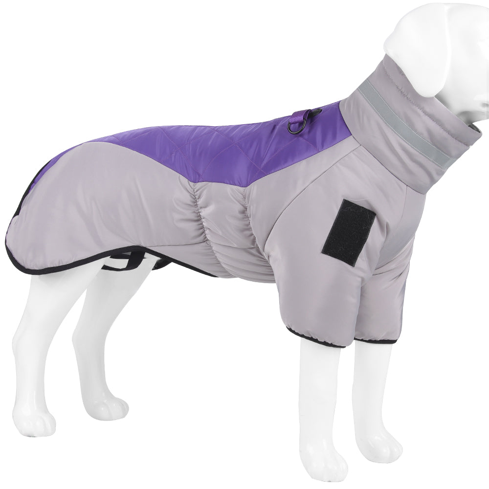 The Dog Winter Jacket