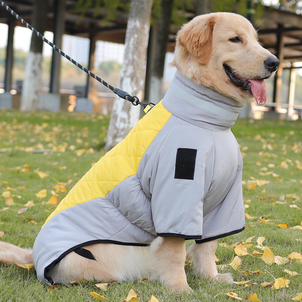 The Dog Winter Jacket