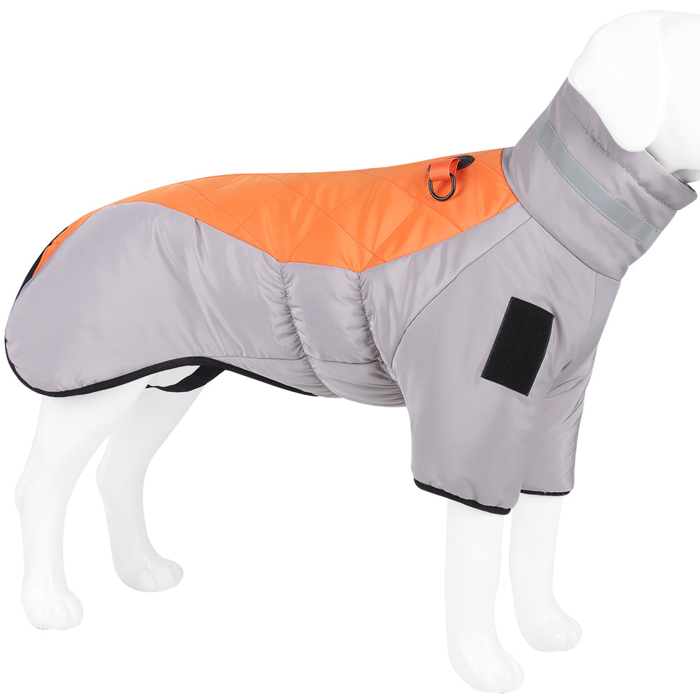 The Dog Winter Jacket
