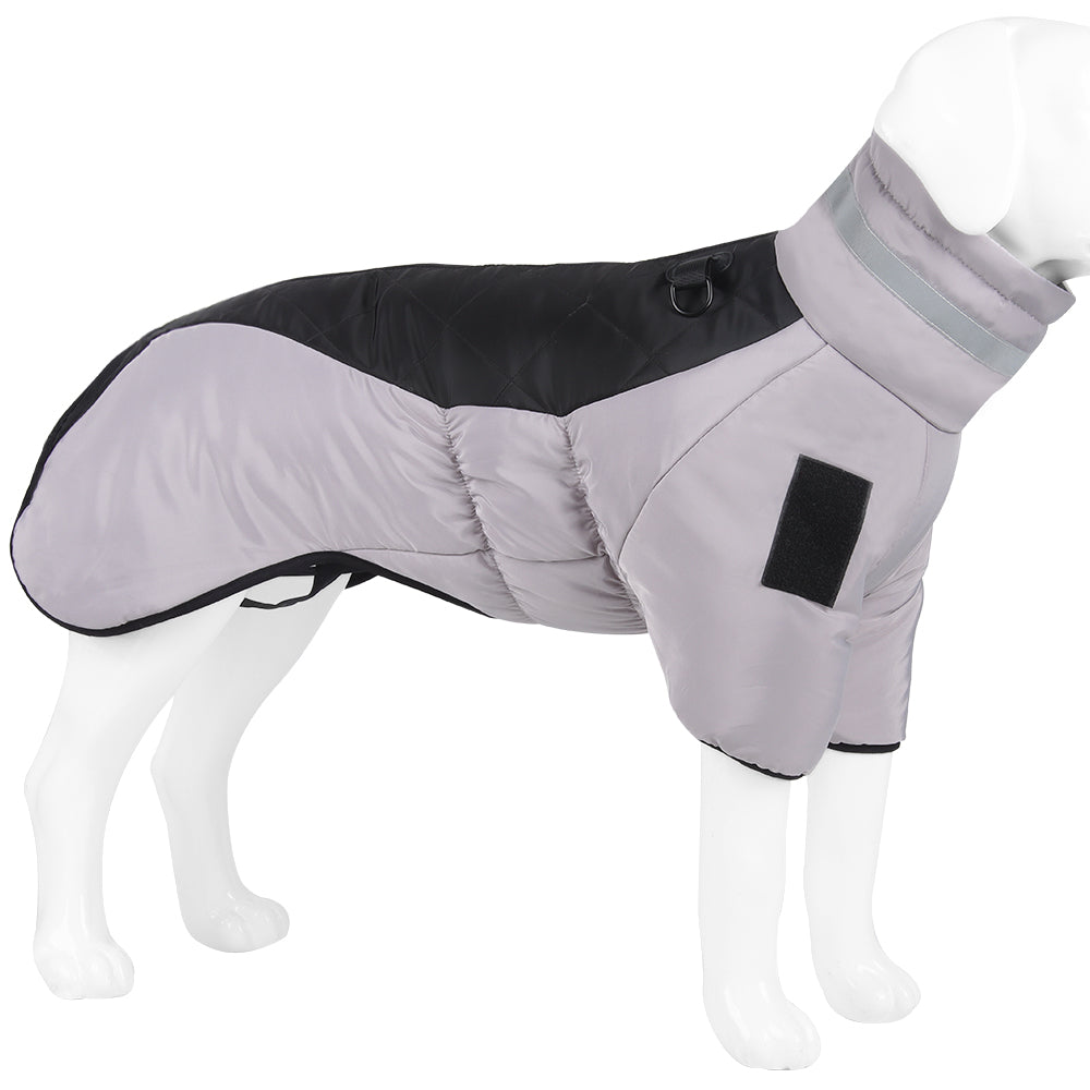 The Dog Winter Jacket