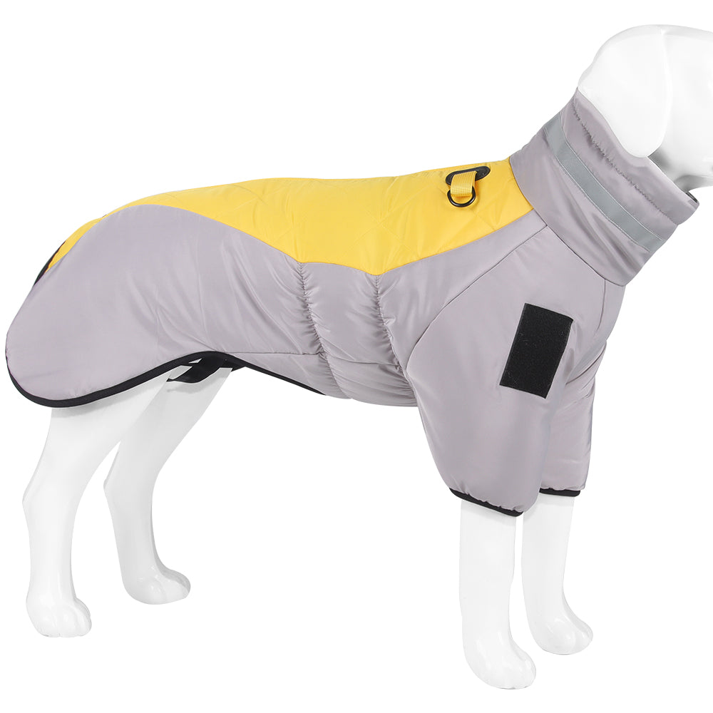 The Dog Winter Jacket