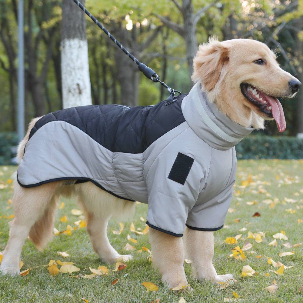 The Dog Winter Jacket