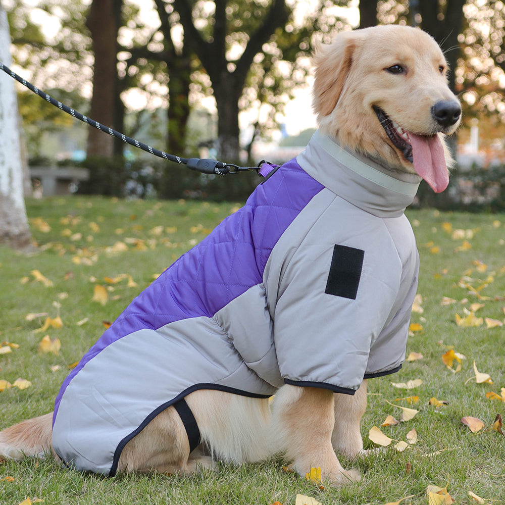 The Dog Winter Jacket