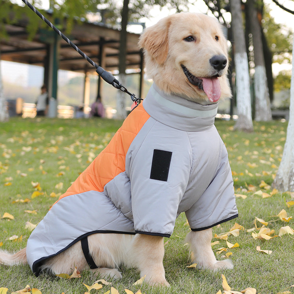 The Dog Winter Jacket