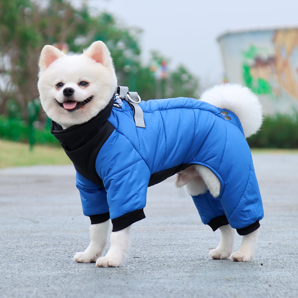 The Winter Dog Jumpsuit