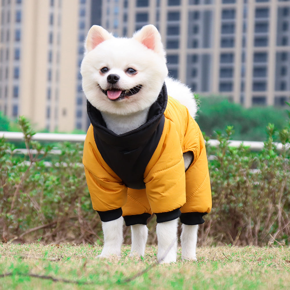 The Winter Dog Jumpsuit