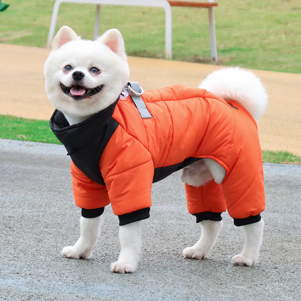 The Winter Dog Jumpsuit
