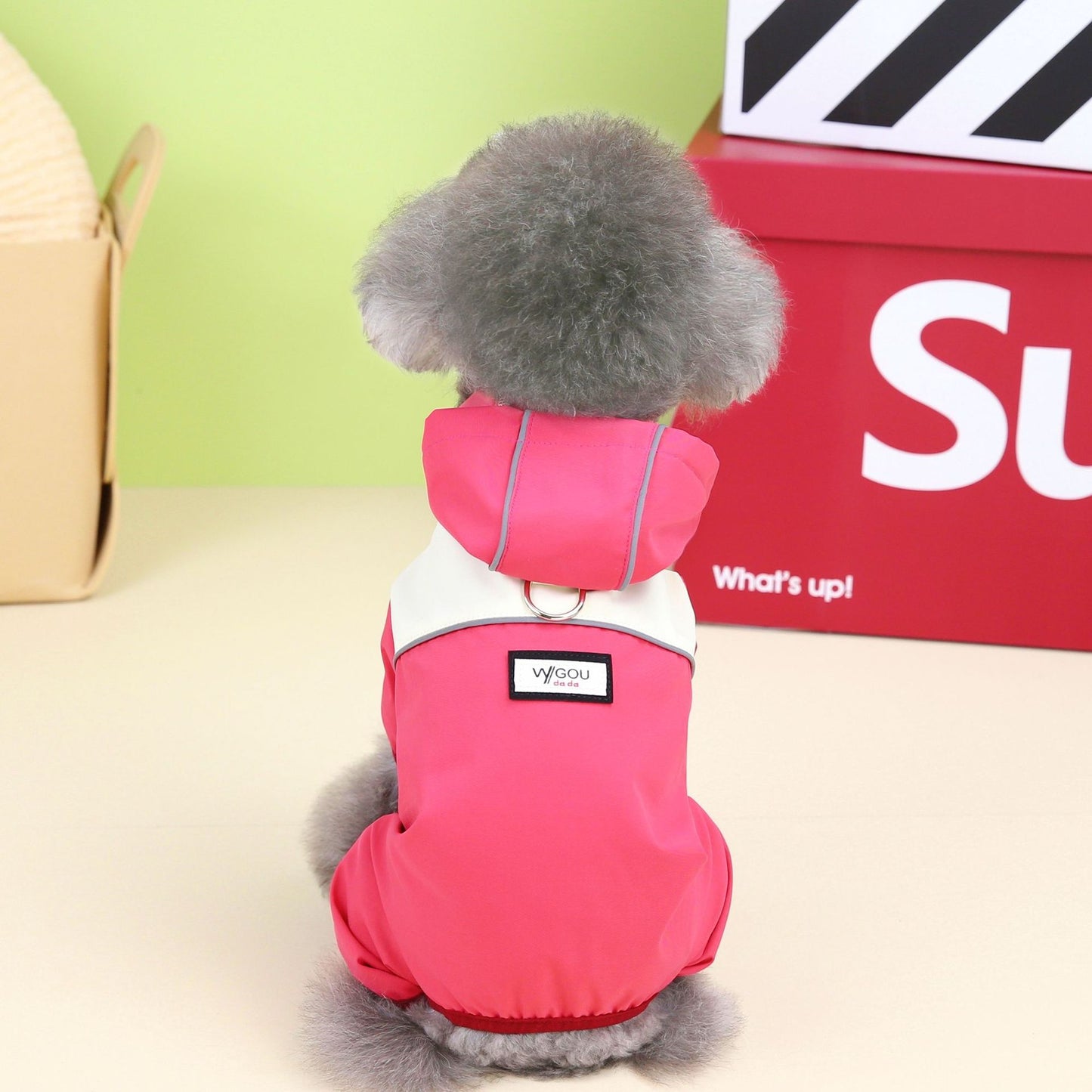 The Colorful Dog Jumpsuit