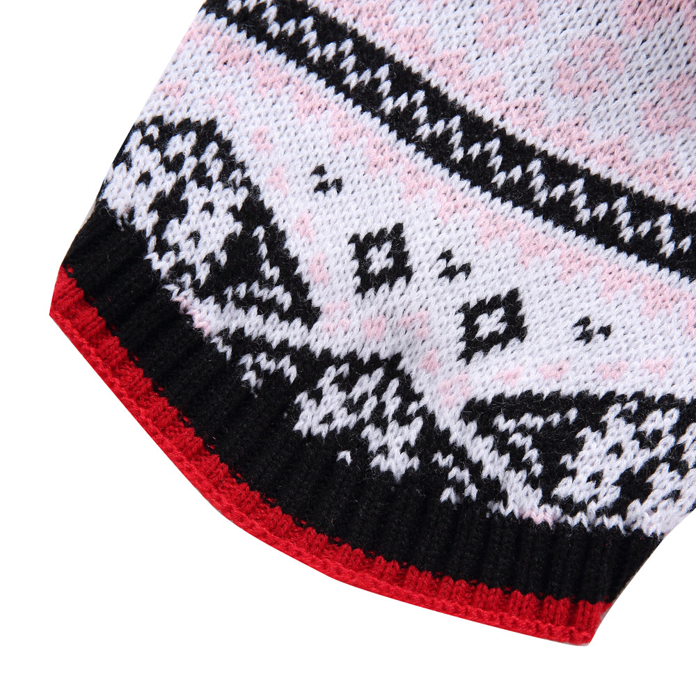 The Winter Wonderland Dog Sweater
