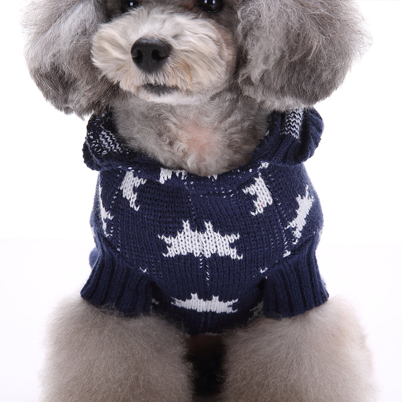 The Starry Paw Hoodie