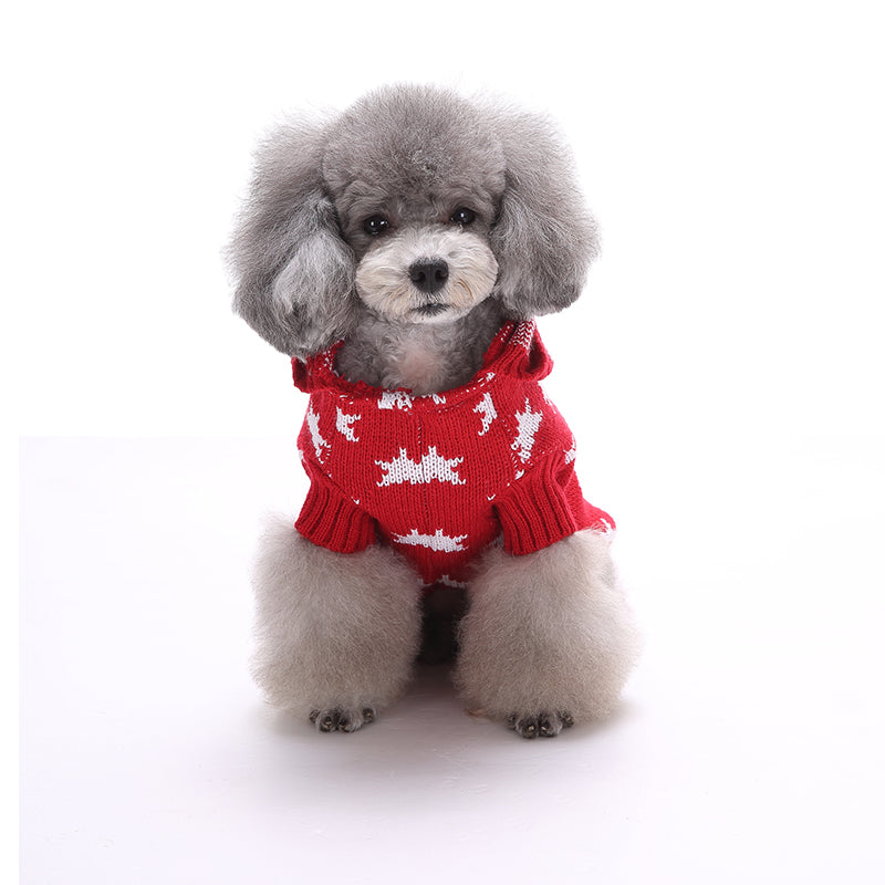 The Starry Paw Hoodie