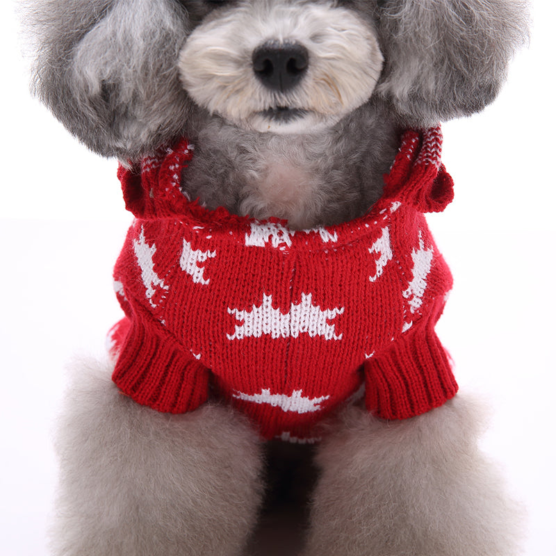 The Starry Paw Hoodie