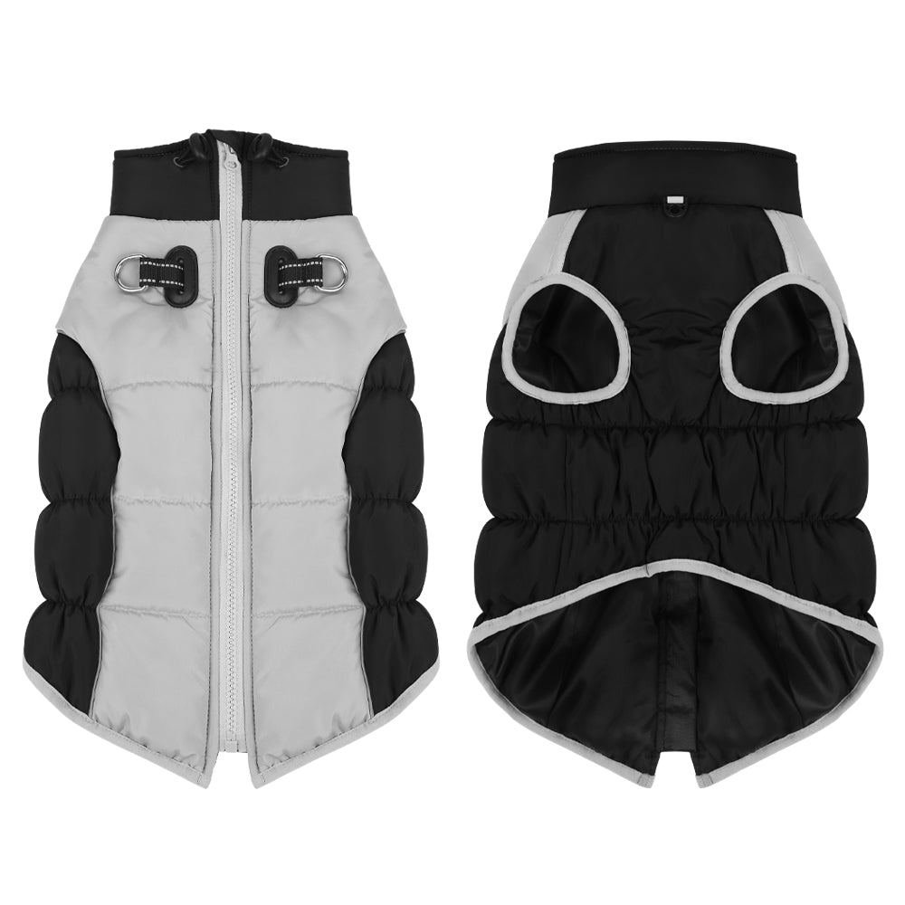 The Winter Dog Jacket