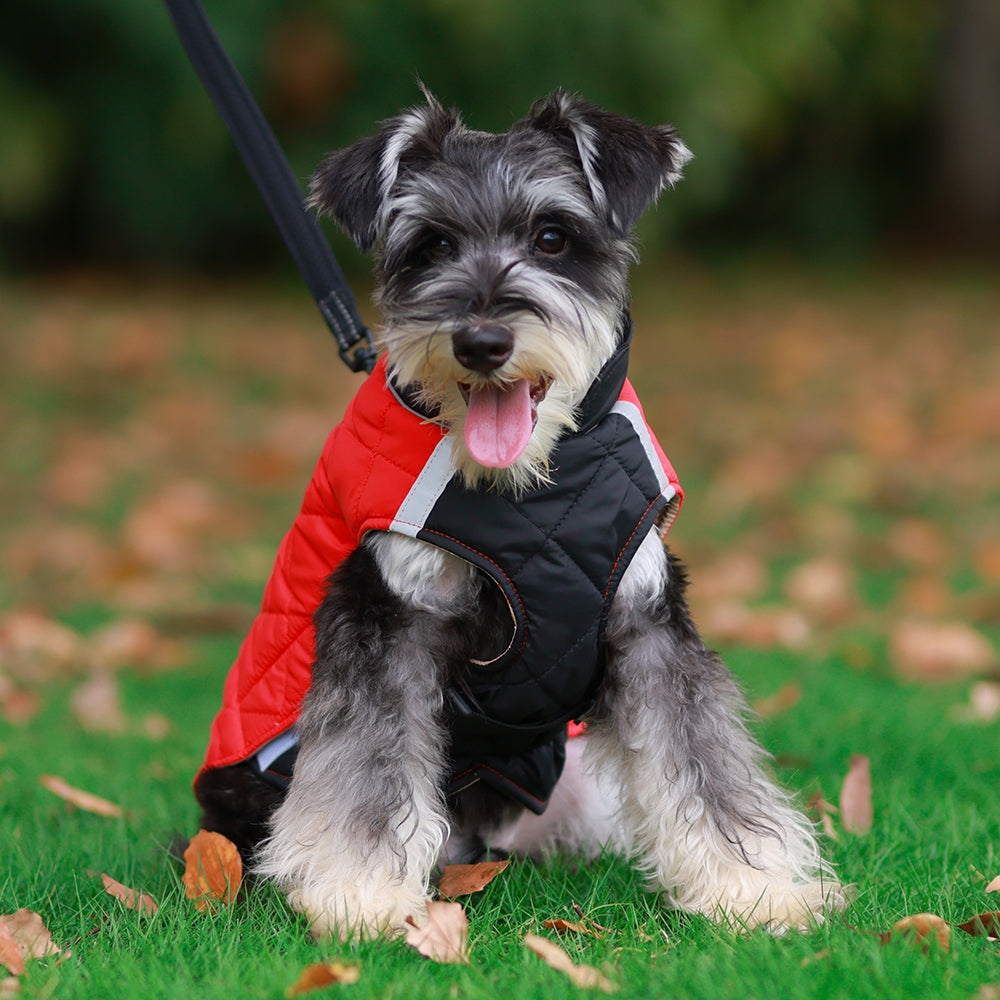 The Reversible Quilted Dog Jacket
