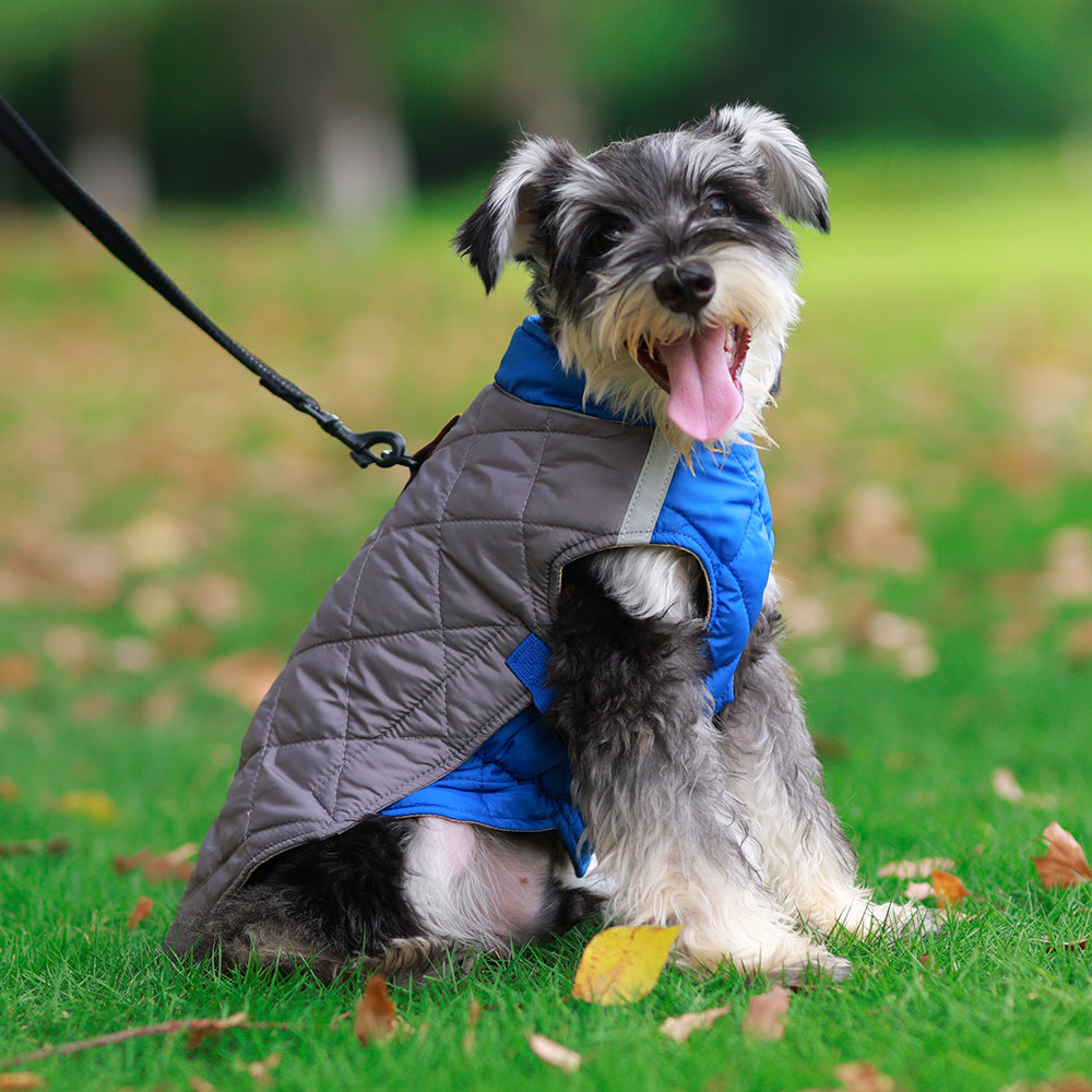 The Reversible Quilted Dog Jacket