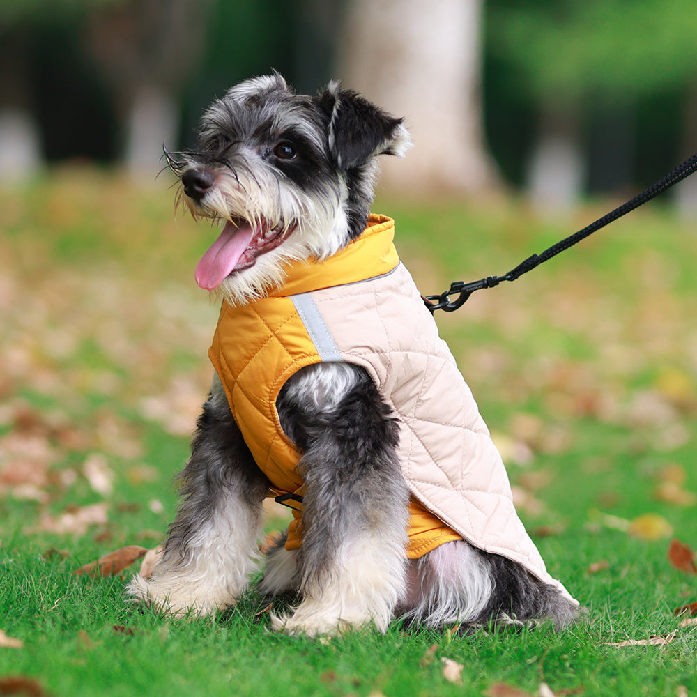 The Reversible Quilted Dog Jacket