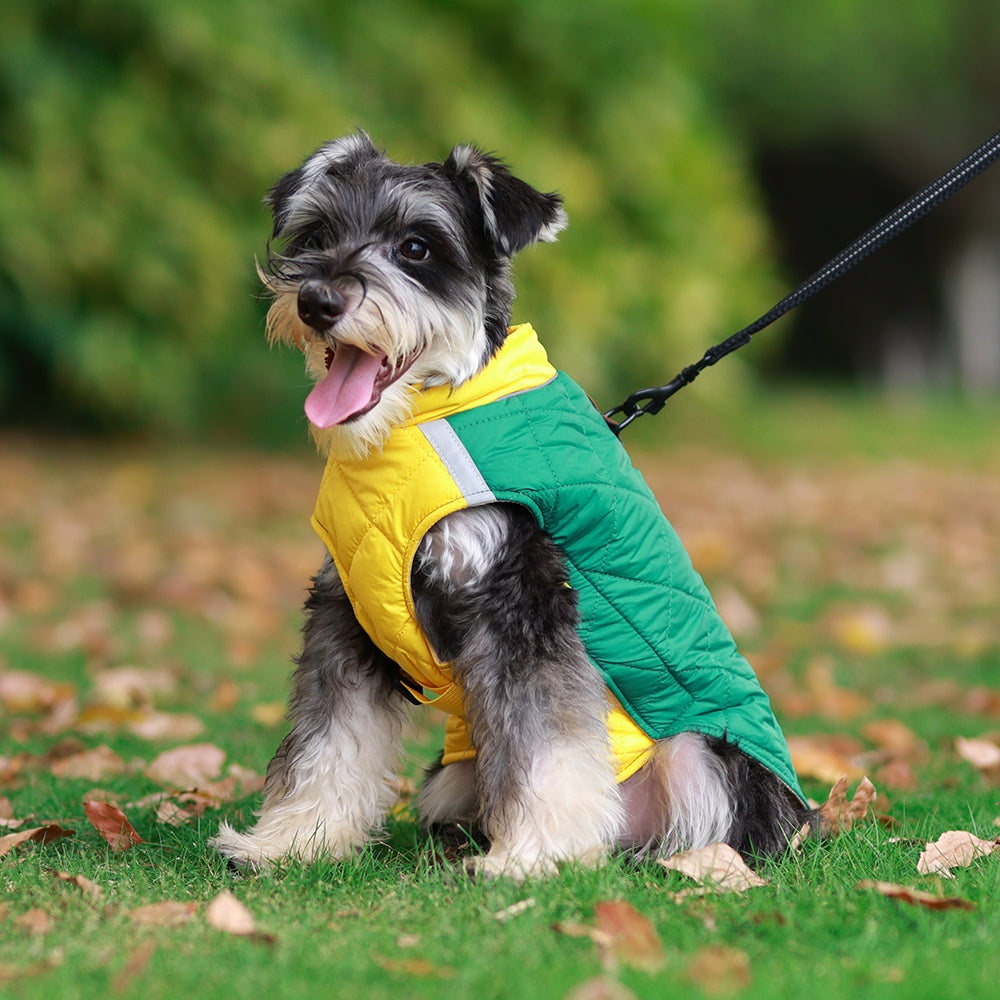 The Reversible Quilted Dog Jacket