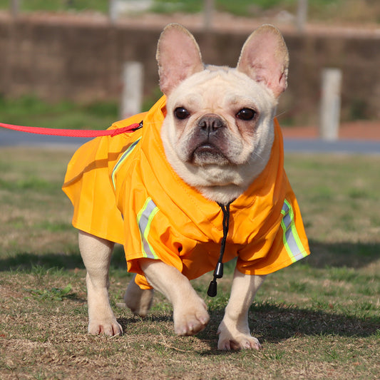 The Classic Waterproof Dog Raincoat