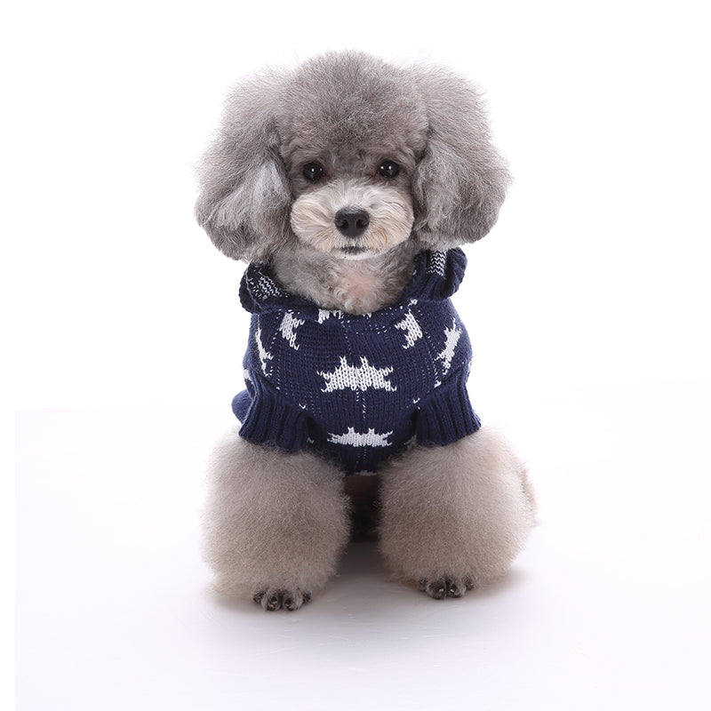 The Starry Paw Hoodie